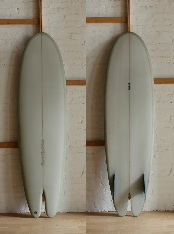 surfboards for maximum wave hold-6'6" Fish Hull